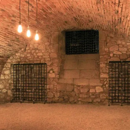 L'hotel Particulier Guilhon Bed & Breakfast