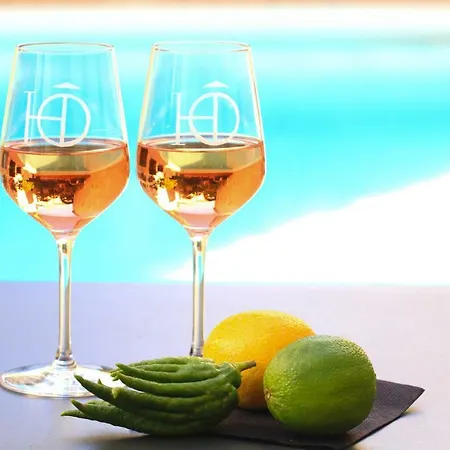 L'hotel Particulier Guilhon Bed & Breakfast Lectoure