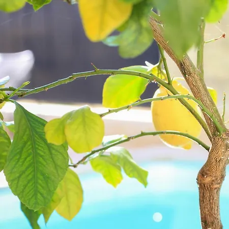 L'hotel Particulier Guilhon Lectoure