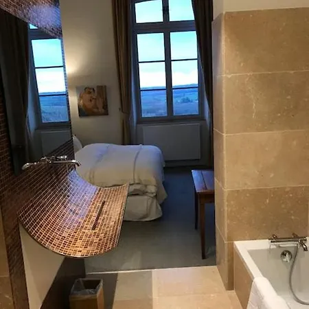 L'hotel Particulier Guilhon Bed & Breakfast