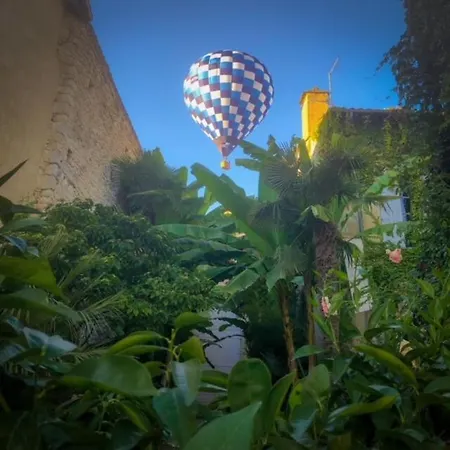 L'hotel Particulier Guilhon Bed & Breakfast 4*