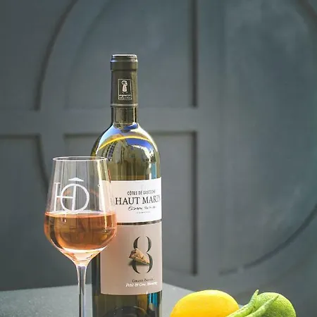 L'hotel Particulier Guilhon Bed & Breakfast