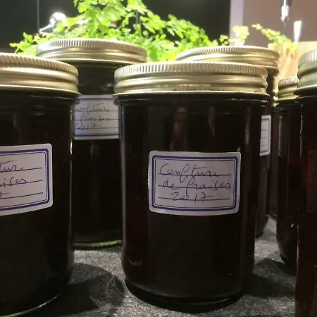 L'hotel Particulier Guilhon Bed & Breakfast 4*