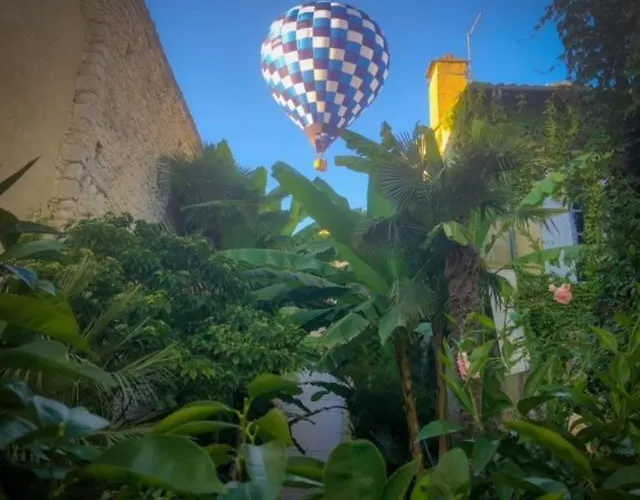 L'hotel Particulier Guilhon Bed & Breakfast 4*